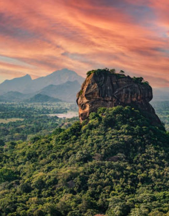 Spectacular view of the Lion rock surrounded by green rich vegetation. Picture taken from Pidurangala Rock in Sigiriya, Sri Lanka.